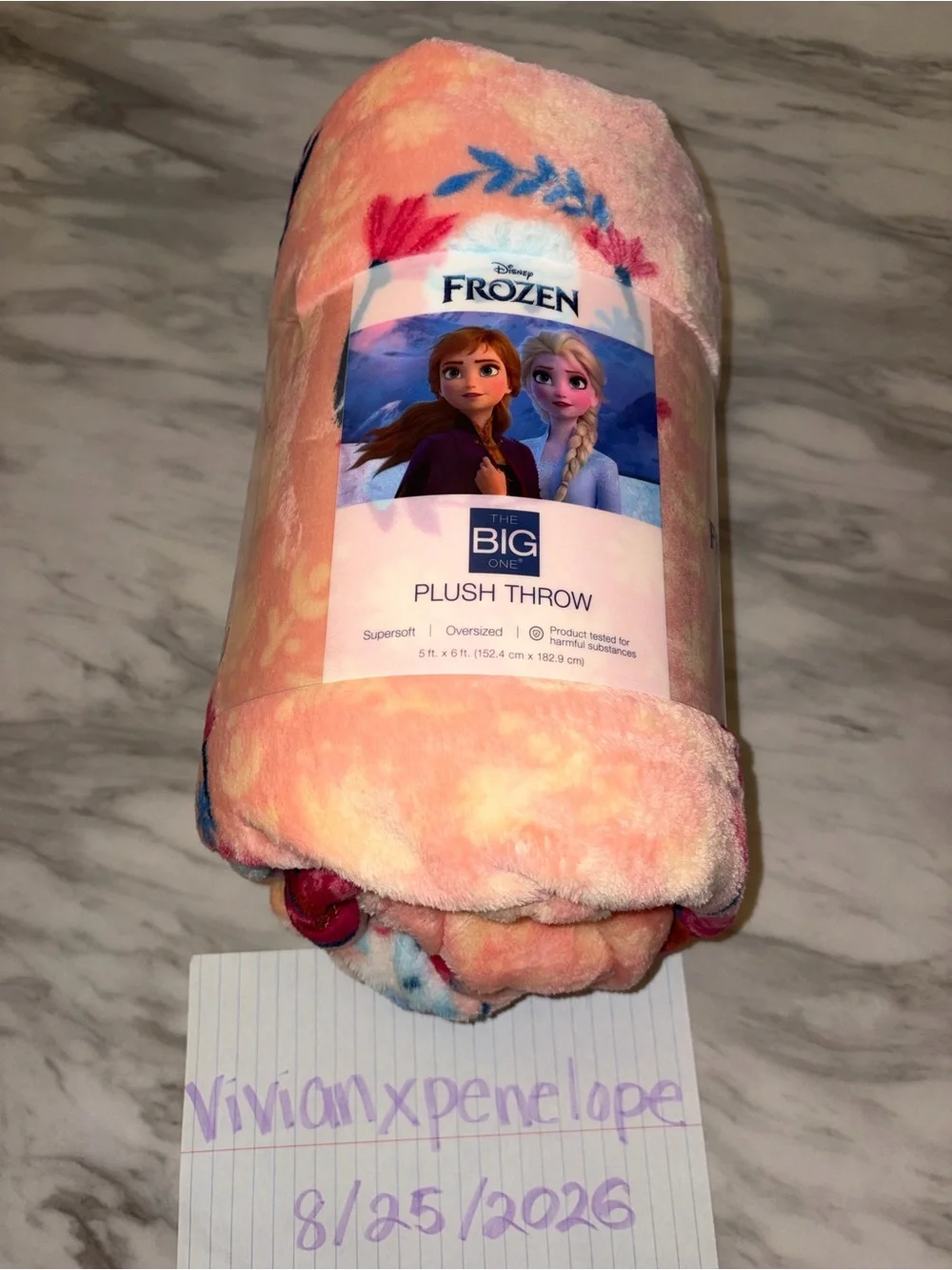 NEW Disney Frozen Anna Elsa Plush Throw Blanket 5x6 FT The Big One Pink Fleece